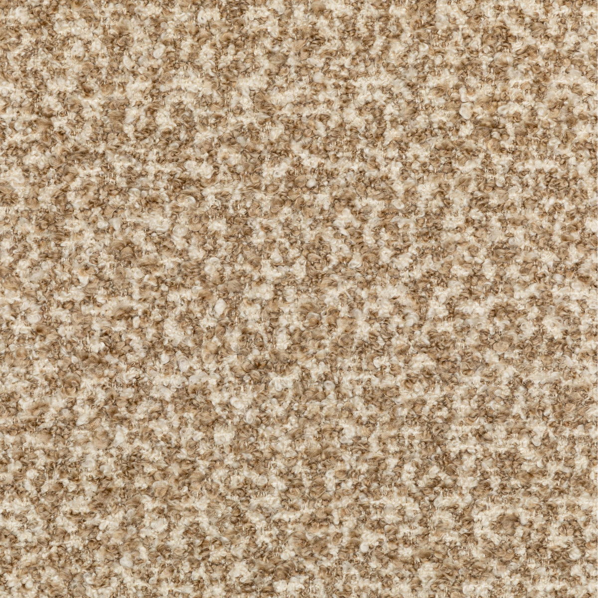36105-16 KRAVET COUTURE FLYING HIGH CAMEL
