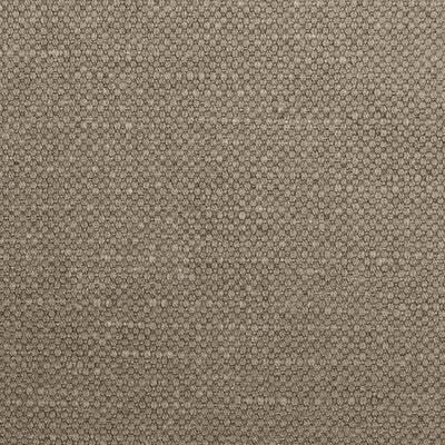 36282-1621 CARSON STEAM KRAVET BASICS UPHOLSTERY