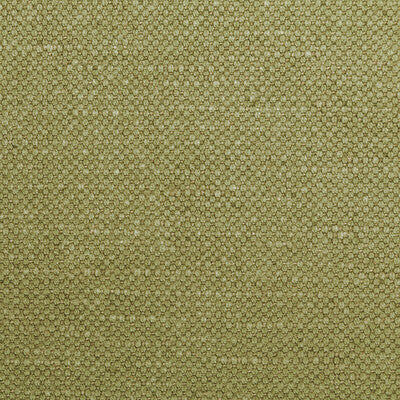 36282-23 CARSON DILL KRAVET BASICS UPHOLSTERY