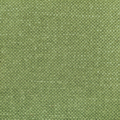 36282-314 CARSON FROG KRAVET BASICS UPHOLSTERY