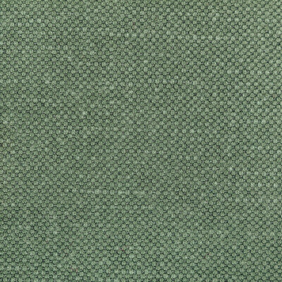 36282-3535 CARSON RELISH KRAVET BASICS UPHOLSTERY