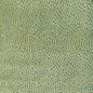 36320-314 FOUNDRAE CELERY KRAVET DESIGN Fabric