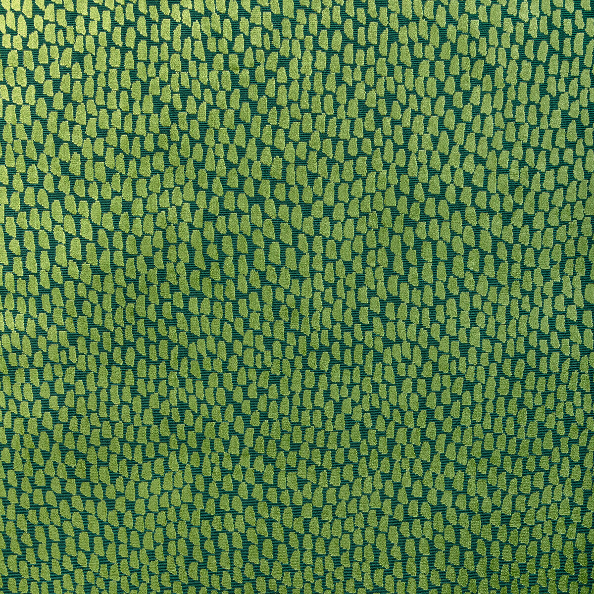 36320-333 FOUNDRAE JUNGLE KRAVET DESIGN Fabric