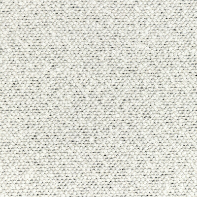 36329-1 COSMIC PLUSH IVORY NOIR KRAVET COUTURE UPHOLSTERY