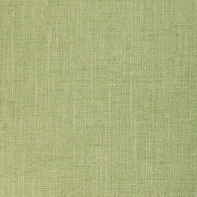 36649-23 POET PLAIN LEAF KRAVET BASICS UPHOLSTERY
