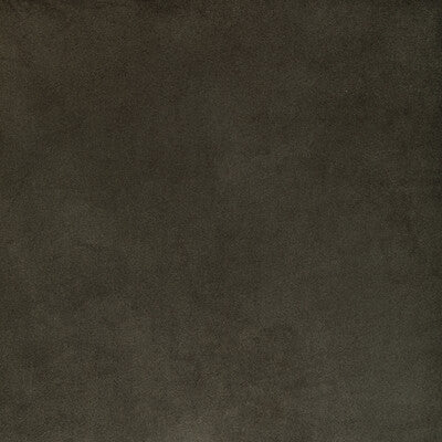36652-2111 ROCCO VELVET SEAL KRAVET CONTRACT UPHOLSTERY