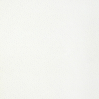 36783-1 TIP THE SCALE SNOW KRAVET DESIGN UPHOLSTERY