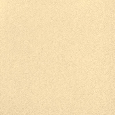 36812-1 KRAVET DESIGN 36812-1 KRAVET DESIGN UPHOLSTERY