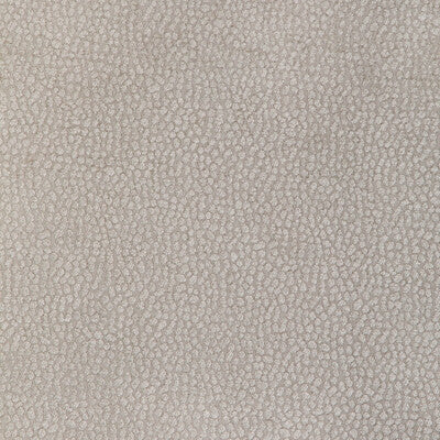 36812-11 PEBBLE CHENILLE PUTTY KRAVET DESIGN UPHOLSTERY