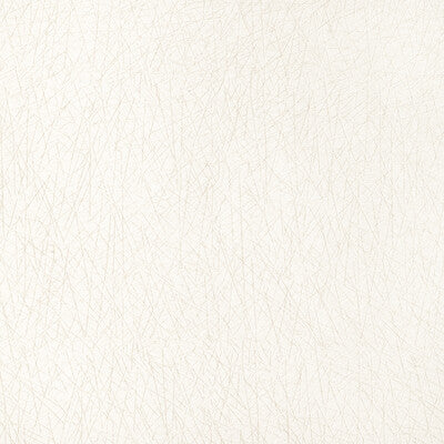 36813-1 PICK UP STICKS IVORY KRAVET DESIGN UPHOLSTERY