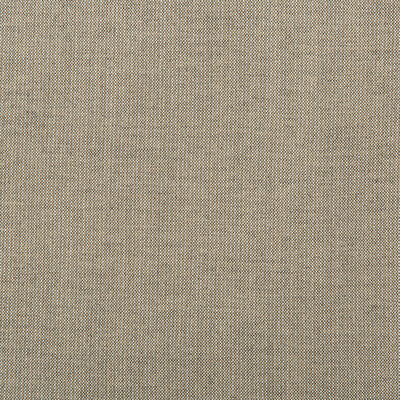 36820-106 KRAVET BASICS 36820-106 KRAVET BASICS Fabrics Drapery Upholstery