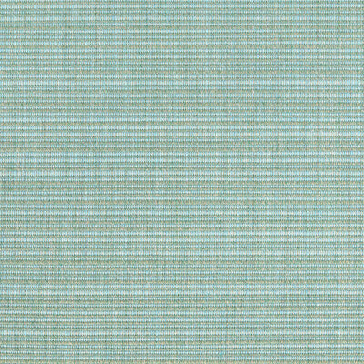 36842-153 KRAVET BASICS 36842-153 KRAVET BASICS Fabrics Drapery Upholstery