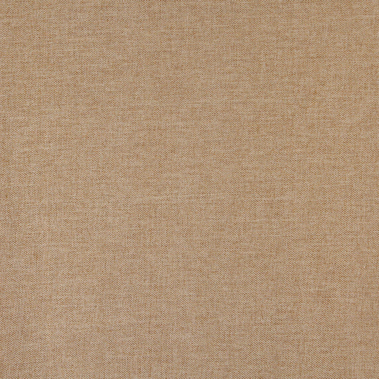 3688 Plain & Solid Wheat Beige & Taupe Charlotte Fabrics