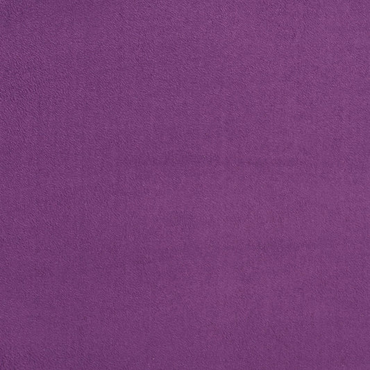 3723 Plain & Solid Purple Purple Charlotte Fabrics