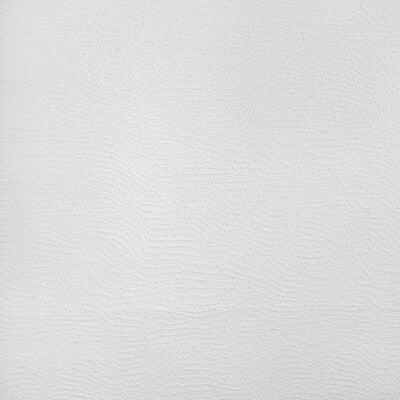 37259-101 COMBED SAND IVORY KRAVET COUTURE UPHOLSTERY