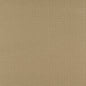 3743 Plain & Solid,Small Scale Ecru Beige & Taupe Charlotte Fabrics