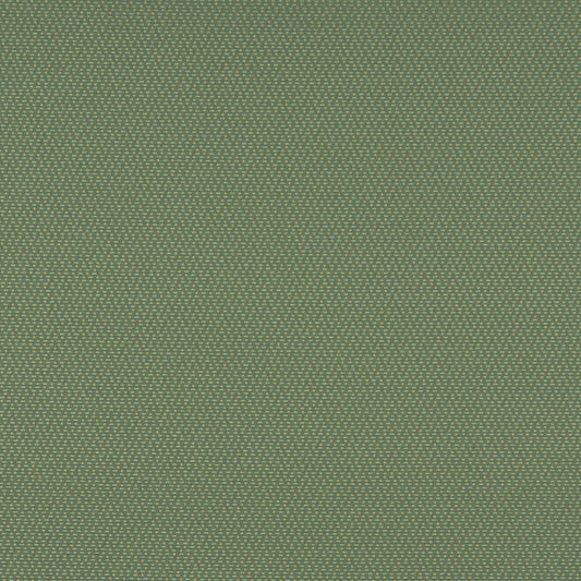 3745 Plain & Solid,Small Scale Meadow Green Charlotte Fabrics