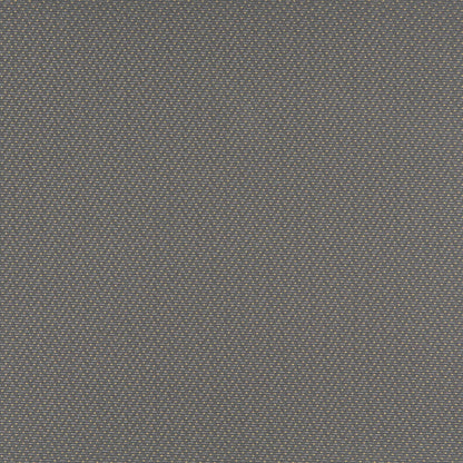 3746 Plain & Solid,Small Scale Pewter Grey & Silver Charlotte Fabrics