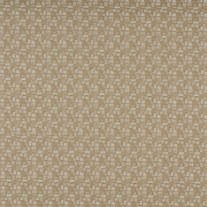 3751 Abstract & Geometric,Small Scale Shell Beige & Taupe Charlotte Fabrics
