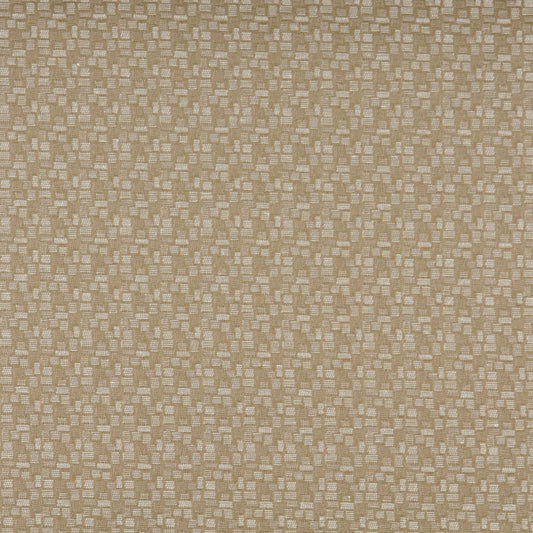 3751 Abstract & Geometric,Small Scale Shell Beige & Taupe Charlotte Fabrics