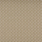 3751 Abstract & Geometric,Small Scale Shell Beige & Taupe Charlotte Fabrics