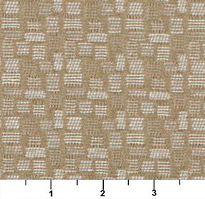 3751 Abstract & Geometric,Small Scale Shell Beige & Taupe Charlotte Fabrics
