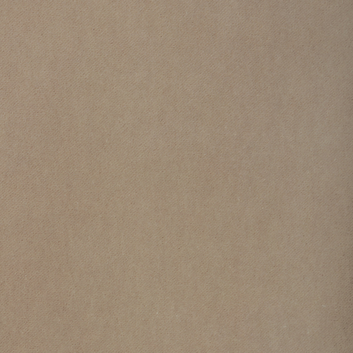 37696-1101 KRAVET CONTRACT TEMPO OYSTER