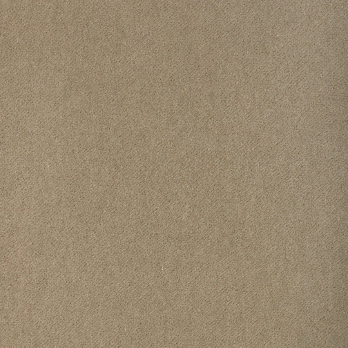 37696-1116 KRAVET CONTRACT TEMPO CANVAS