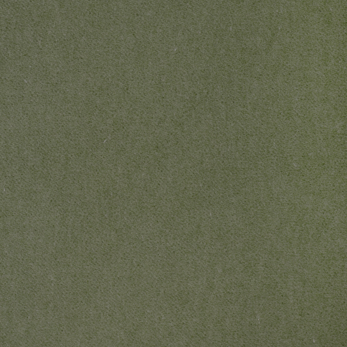 37696-130 KRAVET CONTRACT TEMPO PISTACHIO