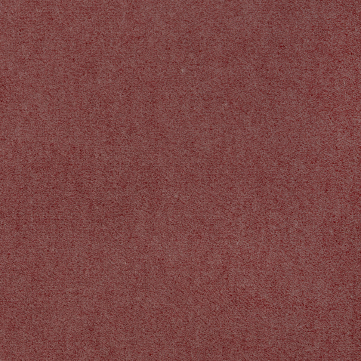 37696-7 KRAVET CONTRACT TEMPO PETAL