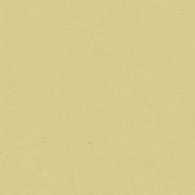 3777-116 KRAVET BASICS 3777-116 KRAVET BASICS DRAPERY