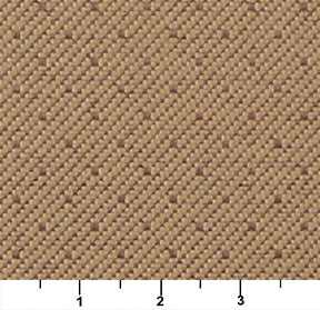 3800 Plain & Solid Pecan Brown Charlotte Fabrics