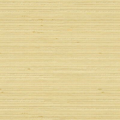 3808-1116 KRAVET BASICS 3808-1116 KRAVET BASICS DRAPERY