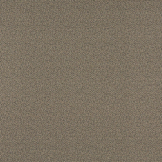 3820 Plain & Solid Pebble Brown Charlotte Fabrics