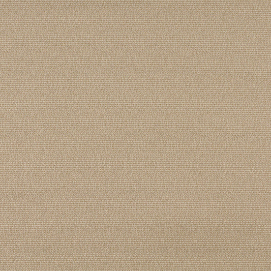 3821 Plain & Solid Wheat Beige & Taupe Charlotte Fabrics