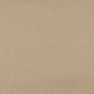 3821 Plain & Solid Wheat Beige & Taupe Charlotte Fabrics