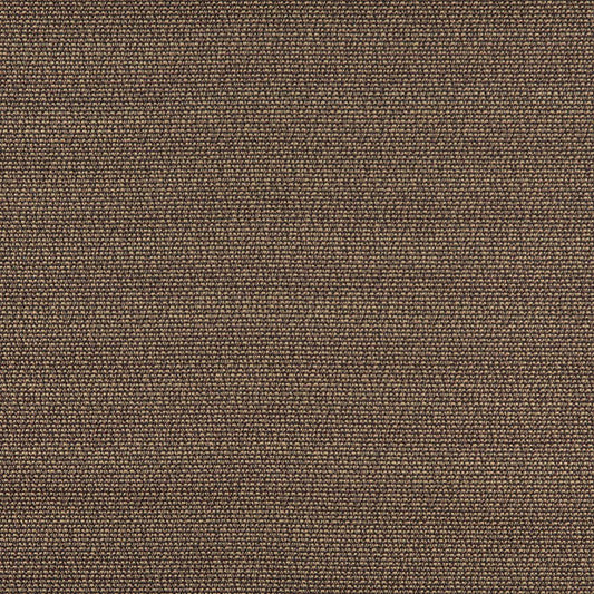 3825 Plain & Solid Mocha Brown Charlotte Fabrics