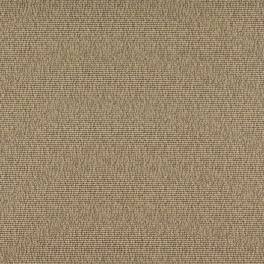 3827 Plain & Solid Truffle Brown Charlotte Fabrics