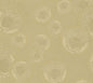 384611X Versace Versace Volume 5 Wallpaper Gilded Age Sunlit