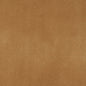3859 Plain & Solid Camel Gold & Yellow Charlotte Fabrics