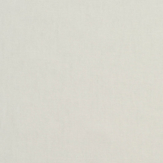 3880 Plain & Solid Pearl White & Ivory Charlotte Fabrics