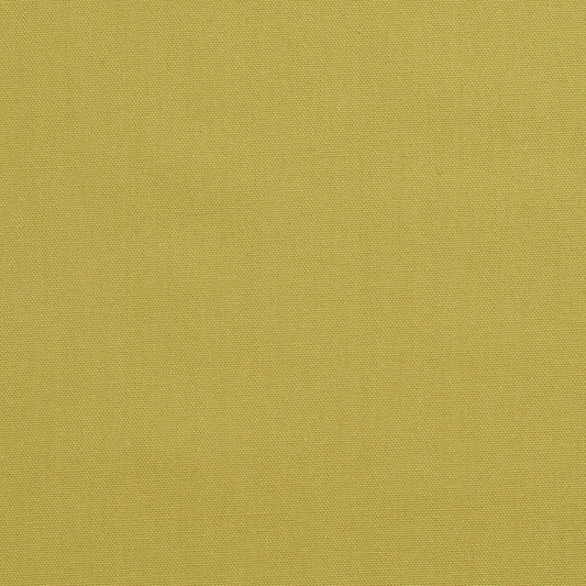 3890 Plain & Solid Pear Green Charlotte Fabrics