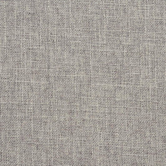 3902 Plain & Solid Fog Grey & Silver Charlotte Fabrics