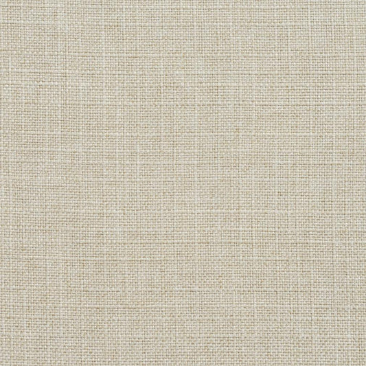 3906 Plain & Solid Sand Beige & Taupe Charlotte Fabrics