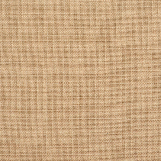 3910 Plain & Solid Straw Beige & Taupe Charlotte Fabrics