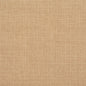 3910 Plain & Solid Straw Beige & Taupe Charlotte Fabrics