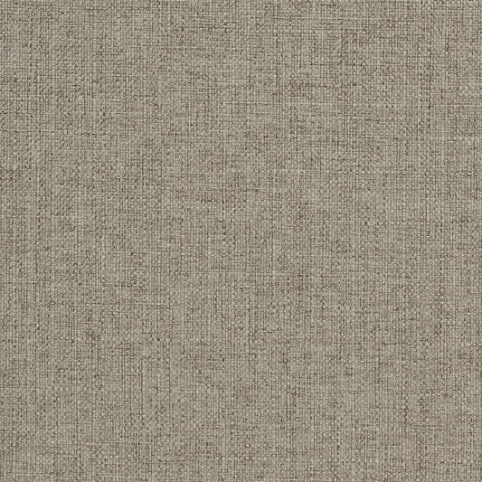 3911 Plain & Solid Pewter Grey & Silver Charlotte Fabrics