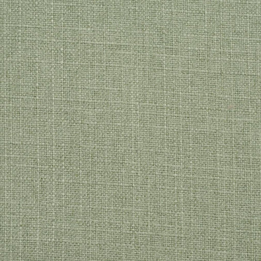 3916 Plain & Solid Meadow Green Charlotte Fabrics