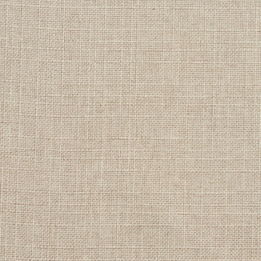 3925 Plain & Solid Flax Beige & Taupe Charlotte Fabrics
