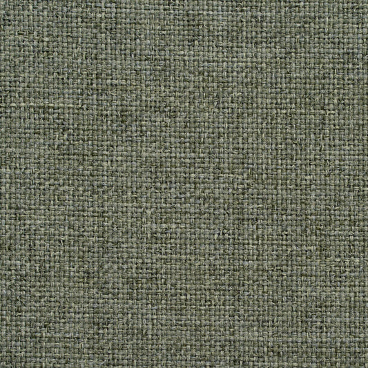 4001 Plain & Solid Sage Green Charlotte Fabrics
